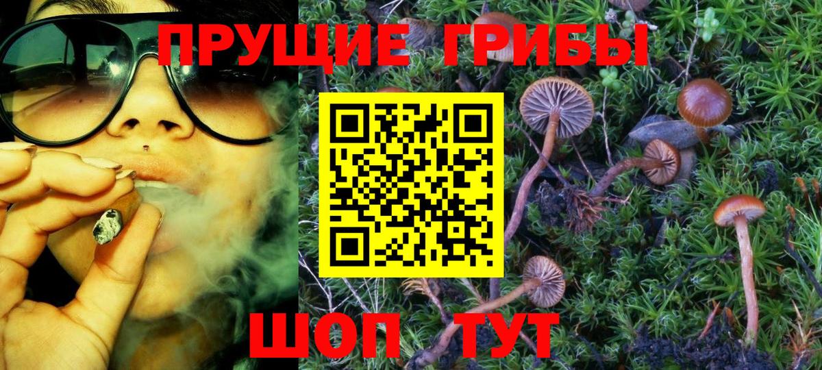 Галлюциногенные грибы ЛСД Звенигород
